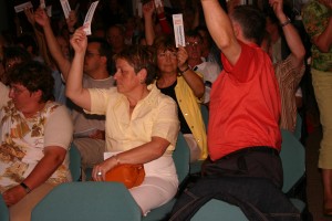 die Abstimmung